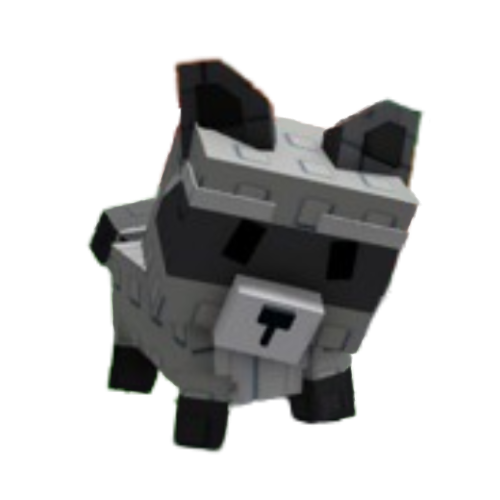 Raccoon